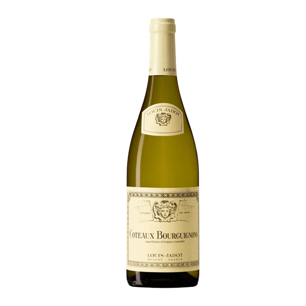 Bottle of Louis Jadot Coteaux Bourguignons Blanc white wine, 75cl, with a cream label and green foil cap.